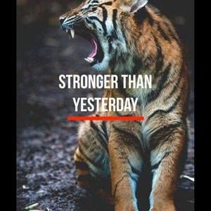 Meet your Posher, Annessa